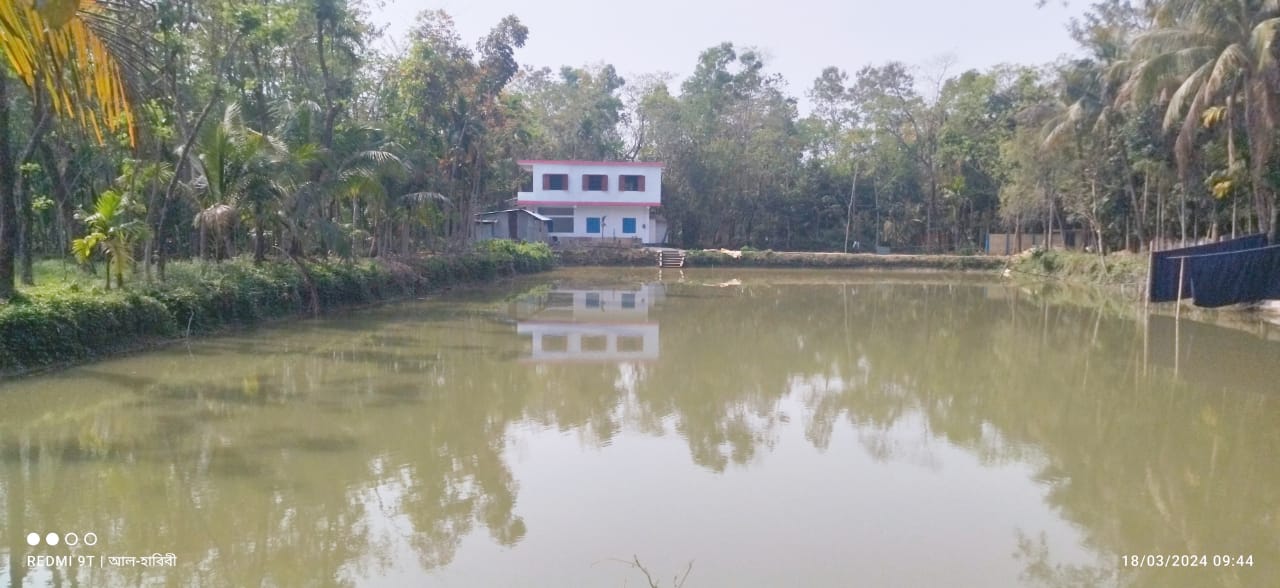 Outdoor activities at Mercy Institute
